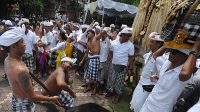 UPACARA nangluk mrana di Bali. Foto: ist UPACARA nangluk mrana di Bali. Foto: ist