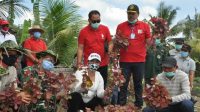Foto: PANEN SAYUR BUPATI Eka bersama pihak terkait saat panen sayur bayam merah yang ditanam dengan memanfaatkan lahan tidur di Tabanan, Jumat (21/8). Foto: gap Foto: PANEN SAYUR BUPATI Eka bersama pihak terkait saat panen sayur bayam merah yang ditanam dengan memanfaatkan lahan tidur di Tabanan, Jumat (21/8). Foto: gap