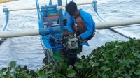 SERBUAN eceng gondok di perairan pantai timur Desa Adat Tuban. Foto: ist SERBUAN eceng gondok di perairan pantai timur Desa Adat Tuban. Foto: ist