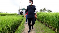 Foto: 02389 Badung Bupati Tinjau Saluran Irigasi BUPATI Giri Prasta saat melakukan peninjauan normalisasi saluran irigasi di wilayah Desa Munggu, Mengwi, Rabu (23/9). Foto: ist Foto: 02389 Badung Bupati Tinjau Saluran Irigasi BUPATI Giri Prasta saat melakukan peninjauan normalisasi saluran irigasi di wilayah Desa Munggu, Mengwi, Rabu (23/9). Foto: ist
