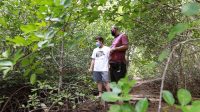 BUPATI Suwirta bersama Perbekel Desa Lembongan, I Ketut Gede Arjaya, dan Kelompok Tani Bakung Sari meninjau kawasan Mangrove di Nusa Ceningan, Rabu (16/9). BUPATI Suwirta bersama Perbekel Desa Lembongan, I Ketut Gede Arjaya, dan Kelompok Tani Bakung Sari meninjau kawasan Mangrove di Nusa Ceningan, Rabu (16/9).