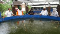 Foto: PETANI IKAN POS BALI/GIA TIGA kelompok petani ikan di Bangli mendapat bantuan dari Direktorat Jenderal Perikanan Budidaya Kementerian Kelautan dan Perikanan berupa sistem bioflok. Foto: gia Foto: PETANI IKAN POS BALI/GIA TIGA kelompok petani ikan di Bangli mendapat bantuan dari Direktorat Jenderal Perikanan Budidaya Kementerian Kelautan dan Perikanan berupa sistem bioflok. Foto: gia