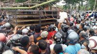 Foto: ayam - gagah PETERNAK yang tergabung dalam Pinsar Broiler Bali membagikan sekitar 700 ekor ayam hidup kepada masyarakat terdampak Covid-19 di Tabanan, Senin (31/8). Foto: gap Foto: ayam - gagah PETERNAK yang tergabung dalam Pinsar Broiler Bali membagikan sekitar 700 ekor ayam hidup kepada masyarakat terdampak Covid-19 di Tabanan, Senin (31/8). Foto: gap