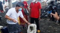 bersih-bersih-pantai-klungkung