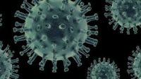 ILUSTRASI virus Corona. Foto: ist ILUSTRASI virus Corona. Foto: ist