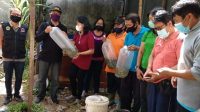 PENYERAHAN bibit ikan nila hitam di kawasan Kelurahan Renon, Denpasar, Selasa (27/10/2020). Foto: ist PENYERAHAN bibit ikan nila hitam di kawasan Kelurahan Renon, Denpasar, Selasa (27/10/2020). Foto: ist