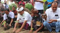 Bupati Bangli saat menanam bibit Porang bersama KUB Bukit Sari 1 BUPATI I Made Gianyar menanam bibit porang bersama warga. Foto: girinata