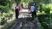 L MG_6619 BUPATI Suwirta meninjau pengerjaan jalan Subak Gombeng, Desa Nyalian, Kecamatan Banjarangkan, Selasa (13/10/2020). Foto: ist