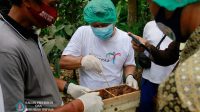 WAYAN Santika memandu Bupati Suwirta memanen madu kella di Desa Aan, Kecamatan Banjarangkan, Sabtu (25/10/2020). Foto: ist WAYAN Santika memandu Bupati Suwirta memanen madu kella di Desa Aan, Kecamatan Banjarangkan, Sabtu (25/10/2020). Foto: ist