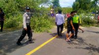 POHON tumbang terjadi di beberapa ruas jalan yang ada di wilayah Buleleng, Selasa (6/10/2020). Foto: ist POHON tumbang terjadi di beberapa ruas jalan yang ada di wilayah Buleleng, Selasa (6/10/2020). Foto: ist