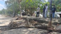 02433 Badung Dinas PUPR Tinjau KADIS PUPR Badung, IB Surya Suamba, bersama staf saat meninjau kondisi abrasi di Pantai Kuta. Foto: ist
