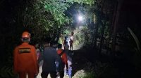 PETUGAS Basarnas Bali melakukan pencarian kelompok pelajar berjumlah 5 orang yang tersesat di Gunung Batu Karu, Kabupaten Tabanan, Jumat (13/11/2020) malam. PETUGAS Basarnas Bali melakukan pencarian kelompok pelajar berjumlah 5 orang yang tersesat di Gunung Batu Karu, Kabupaten Tabanan, Jumat (13/11/2020) malam.