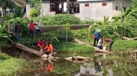 DISKANLA Tabanan melaksanakan tebar benih ikan air tawar jenis nila, di Banjar Tengah Kelod, Desa Bantas, Kecamatan Selemadeg Timur, Jumat (6/11/2020). Foto: gap DISKANLA Tabanan melaksanakan tebar benih ikan air tawar jenis nila, di Banjar Tengah Kelod, Desa Bantas, Kecamatan Selemadeg Timur, Jumat (6/11/2020). Foto: gap