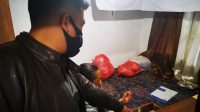 PETUGAS Polsek Kintamani menggelar olah TKP hilangnya uang dan perhiasan di warung Wayan Arnawa, di Banjar Kayu Kapas, Desa/Kecamatan Kintamani, Bangli. Foto: ist PETUGAS Polsek Kintamani menggelar olah TKP hilangnya uang dan perhiasan di warung Wayan Arnawa, di Banjar Kayu Kapas, Desa/Kecamatan Kintamani, Bangli. Foto: ist