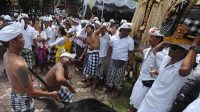 UPACARA Nangluk Merana di salah satu desa di Bali. Upacara Nangluk Merana yang akan dilaksanakan Desa Adat Kuta pada hari Kajeng Kliwon Uwudan, Sasih Kenam, Rabu (25/11/2020) dilaksanakan sesuai prokes. Foto: net UPACARA Nangluk Merana di salah satu desa di Bali. Upacara Nangluk Merana yang akan dilaksanakan Desa Adat Kuta pada hari Kajeng Kliwon Uwudan, Sasih Kenam, Rabu (25/11/2020) dilaksanakan sesuai prokes. Foto: net