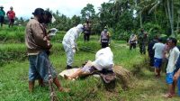 PROSES evakuasi jenazah seorang warga yang ditemukan tergeletak di pematang sawah di Banjar Dinas Sambian Tengah, Desa Timpag, Kecamatan Kerambitan, Tabanan, Kamis (26/11/2020). Foto: ist PROSES evakuasi jenazah seorang warga yang ditemukan tergeletak di pematang sawah di Banjar Dinas Sambian Tengah, Desa Timpag, Kecamatan Kerambitan, Tabanan, Kamis (26/11/2020). Foto: ist