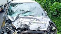 MOBIL Honda Jazz nopol DK 1649 AE mengalami ringsek, setelah menabrak pohon perindang di bahu jalan jurusan Denpasar-Gilimanuk Km 28.300, tepatnya di dekat Simpang Sembung Gede, Kecamatan Kerambitan, Selasa (15/12/2020). Foto: ist MOBIL Honda Jazz nopol DK 1649 AE mengalami ringsek, setelah menabrak pohon perindang di bahu jalan jurusan Denpasar-Gilimanuk Km 28.300, tepatnya di dekat Simpang Sembung Gede, Kecamatan Kerambitan, Selasa (15/12/2020). Foto: ist
