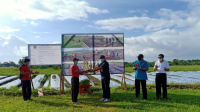 PELUNCURAN program PKT swakelola penanaman pepaya california di Desa Kesiman Kertalangu, Denpasar Timur. Foto: ist PELUNCURAN program PKT swakelola penanaman pepaya california di Desa Kesiman Kertalangu, Denpasar Timur. Foto: ist