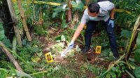 PETUGAS kepolisian melakukan olah TKP Nyoman Nyelem kehilangan nyawa setelah jatuh dari pohon enau di tegalan miliknya, Sabtu (5/12/2020). Foto: ist PETUGAS kepolisian melakukan olah TKP Nyoman Nyelem kehilangan nyawa setelah jatuh dari pohon enau di tegalan miliknya, Sabtu (5/12/2020). Foto: ist