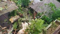 TERTIMPA pohon, bangunan villa mengalami kerusakan. Foto: adi TERTIMPA pohon, bangunan villa mengalami kerusakan. Foto: adi
