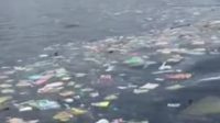 SAMPAH berserakan di tengah laut pantai kawasan Buleleng barat, Rabu (2/12/2020). Foto: ist SAMPAH berserakan di tengah laut pantai kawasan Buleleng barat, Rabu (2/12/2020). Foto: ist