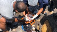 PROSES evakuasi mayat bayi yang ditemukan di kawasan Pantai Segara Camplung, Kelurahan Banyuasri, Buleleng, Selasa (29/12/2020). Foto: rik PROSES evakuasi mayat bayi yang ditemukan di kawasan Pantai Segara Camplung, Kelurahan Banyuasri, Buleleng, Selasa (29/12/2020). Foto: rik