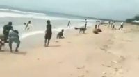 WARGA Kuta saat memungut ikan penpen yang naik ke pesisir Pantai Kuta. Foto: gay WARGA Kuta saat memungut ikan penpen yang naik ke pesisir Pantai Kuta. Foto: gay