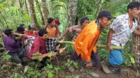 WARGA mengevakuasi jasad I Ketut Darma, warga Banjar Dinas Jumenang, Desa Bukit, Karangasem, Selasa (19/1/2021), yang tewas terkena pentalan kayu saat membantu merebah kayu durian. Foto: ist