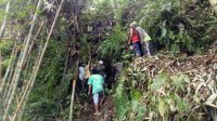 PROSES evakuasi jenazah I Wayan Ragia (80), warga Banjar/Desa Abuan, Kecamatan Kintamani, Bangli yang ditemukan tewas diduga terpelesat saat mencari bambu. Foto: ist PROSES evakuasi jenazah I Wayan Ragia (80), warga Banjar/Desa Abuan, Kecamatan Kintamani, Bangli yang ditemukan tewas diduga terpelesat saat mencari bambu. Foto: ist