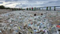 PETUGAS DLHK Badung berjibaku membersihkan sampah kiriman di Pantai Samigita. Foto: ist PETUGAS DLHK Badung berjibaku membersihkan sampah kiriman di Pantai Samigita. Foto: ist