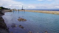 KONDISI pembangunan Pelabuhan Sampalan-Nusa Penida di Kabupaten Klungkung yang mencapai 51 persen. Foto: ist KONDISI pembangunan Pelabuhan Sampalan-Nusa Penida di Kabupaten Klungkung yang mencapai 51 persen. Foto: ist