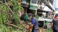 PENANGANAN pohon tumbang yang menghalangi jalan dan menimpa kabel PLN di Jalan Teuku Umar, Simpang Enam, Denpasar Barat, Kamis (4/2/2021). Foto: ist PENANGANAN pohon tumbang yang menghalangi jalan dan menimpa kabel PLN di Jalan Teuku Umar, Simpang Enam, Denpasar Barat, Kamis (4/2/2021). Foto: ist