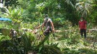 ANGIN kencang menghadirkan mimpi buruk bagi warga Karangasem karena membuat kerusakan di beberapa titik wilayah, Minggu (28/2/2021). Foto: nad ANGIN kencang menghadirkan mimpi buruk bagi warga Karangasem karena membuat kerusakan di beberapa titik wilayah, Minggu (28/2/2021). Foto: nad