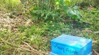 KOTAK sesari Pura Pucak, Banjar Saren, Desa Kerta, Payangan, Gianyar ditemukan tergeletak di lahan tegalan. Foto: ist KOTAK sesari Pura Pucak, Banjar Saren, Desa Kerta, Payangan, Gianyar ditemukan tergeletak di lahan tegalan. Foto: ist