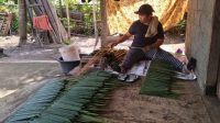 PERAJIN raab buyuk (atap tradisional yang terbuat dari daun nipah) di Lingkungan Samblong, Kelurahan Sangkaragung, Kecamatan Jembrana, Kabupaten Jembrana. Foto: man PERAJIN raab buyuk (atap tradisional yang terbuat dari daun nipah) di Lingkungan Samblong, Kelurahan Sangkaragung, Kecamatan Jembrana, Kabupaten Jembrana. Foto: man
