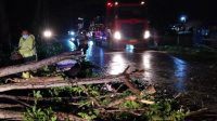 POHON tumbang terjadi di beberapa titik lokasi jalur Denpasar-Gilimanuk di Kabupaten Tabanan, Rabu (3/2/2021) petang. Foto: ist POHON tumbang terjadi di beberapa titik lokasi jalur Denpasar-Gilimanuk di Kabupaten Tabanan, Rabu (3/2/2021) petang. Foto: ist