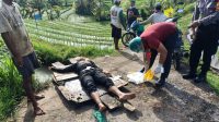 percobaan bunuh diri - ist