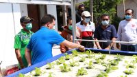 BUPATI Suwirta meninjau program Hidroponik Masuk KK Miskin di Dusun Gembalan, Desa Selat, Minggu (7/3/2021). Foto: ist BUPATI Suwirta meninjau program Hidroponik Masuk KK Miskin di Dusun Gembalan, Desa Selat, Minggu (7/3/2021). Foto: ist