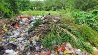 KONDISI sampah yang dibuang di lahan Tahura dekat Lapangan Lagoon. Foto: gay KONDISI sampah yang dibuang di lahan Tahura dekat Lapangan Lagoon. Foto: gay