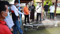 KOLAM IKAN