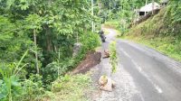SENDERAN JALAN