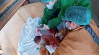 TIM Medis saat melakukan visum luar terhadap kondisi mayat bayi yang ditemukan di areal rumah warga