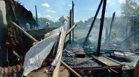 RUMAH bedeng milik Sutoyo hangus terbakar. Penyebab kebakaran sementara diduga karena obat bakar nyamuk. Foto: ist RUMAH bedeng milik Sutoyo hangus terbakar. Penyebab kebakaran sementara diduga karena obat bakar nyamuk. Foto: ist