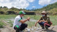 WAKIL Ketua DPRD Bangli, I Komang Carles, Selasa (11/5/2021) turun ke eks galian C di wilayah Yeh Mampeh, Desa Batur, Kintamani yang kini mulai berubah menjadi lahan pertanian cukup subur. Foto: ist WAKIL Ketua DPRD Bangli, I Komang Carles, Selasa (11/5/2021) turun ke eks galian C di wilayah Yeh Mampeh, Desa Batur, Kintamani yang kini mulai berubah menjadi lahan pertanian cukup subur. Foto: ist