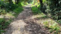 JALAN menuju Pura Dalem penghubung Banjar Sekaan dengan Banjar Undisan Kaja, Desa Undisan, Kecamatan Tembuku mengalami kerusakan cukup parah. Foto: gia JALAN menuju Pura Dalem penghubung Banjar Sekaan dengan Banjar Undisan Kaja, Desa Undisan, Kecamatan Tembuku mengalami kerusakan cukup parah. Foto: gia