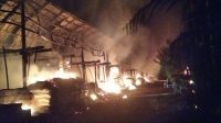 SATU kandang beserta puluhan ribu bibit ayam boiler yang baru berumur beberapa hari milik warga Desa Rendang, Karangasem hangus terbakar pada Kamis (6/5/2021) pagi. Foto: ist SATU kandang beserta puluhan ribu bibit ayam boiler yang baru berumur beberapa hari milik warga Desa Rendang, Karangasem hangus terbakar pada Kamis (6/5/2021) pagi. Foto: ist