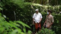 WABUP Kasta meninjau sumber mata air Pura Beji di bantaran Sungai Tukad Goa Gaja di Dusun Jungut, Desa Bungbungan, Kecamatan Banjarangkan, Senin (10/5/2021). Foto: ist WABUP Kasta meninjau sumber mata air Pura Beji di bantaran Sungai Tukad Goa Gaja di Dusun Jungut, Desa Bungbungan, Kecamatan Banjarangkan, Senin (10/5/2021). Foto: ist