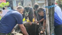 POS Pemadam Kebakaran (Damkar) Kabupaten Karangasem, Kamis (3/6/2021) pagi menerima panggilan untuk mengevakuasi seekor kucing yang kecemplung ke sumur warga di Banjar Kutuh, Desa Jasri Kelod, Karangasem. Foto: ist POS Pemadam Kebakaran (Damkar) Kabupaten Karangasem, Kamis (3/6/2021) pagi menerima panggilan untuk mengevakuasi seekor kucing yang kecemplung ke sumur warga di Banjar Kutuh, Desa Jasri Kelod, Karangasem. Foto: ist