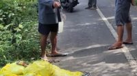 SAMPAH medis yang dibuang sembarangan di wilayah Kelurahan Bitera beberapa waktu lalu, menunjukan lemahnya pengawasan dari DLH. Foto: adi SAMPAH medis yang dibuang sembarangan di wilayah Kelurahan Bitera beberapa waktu lalu, menunjukan lemahnya pengawasan dari DLH. Foto: adi