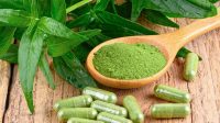 045189300_1613527019-Sambiloto-Herbal-Pahit-untuk-Antivirus-COVID-19-By-Deenida-shutterstock